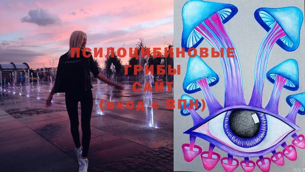 винт Алексеевка