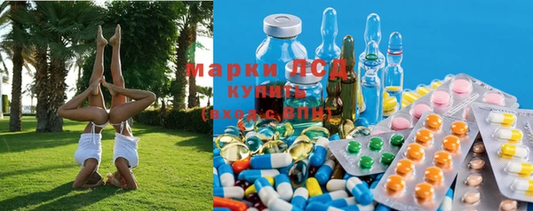 сатива Алзамай