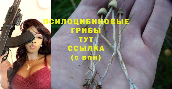 наркотики Алексин